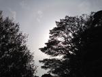 days