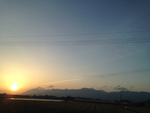 days