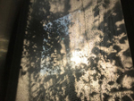 days