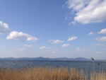 days