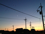 days